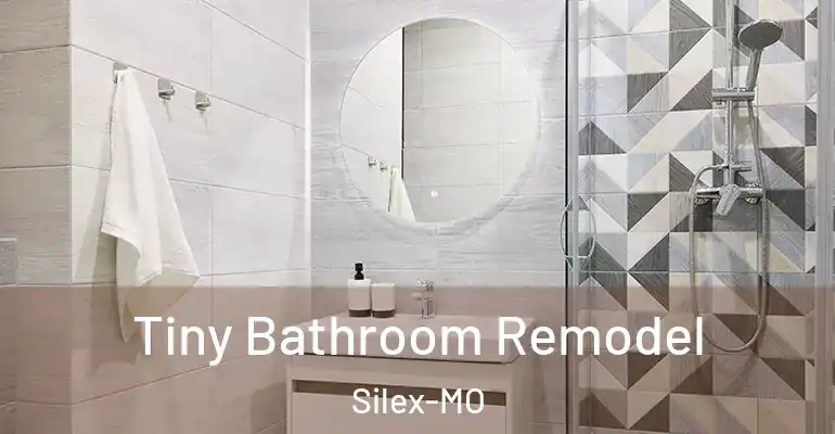 inner Bathroom imggen Tiny Bathroom Remodel Silex-MO