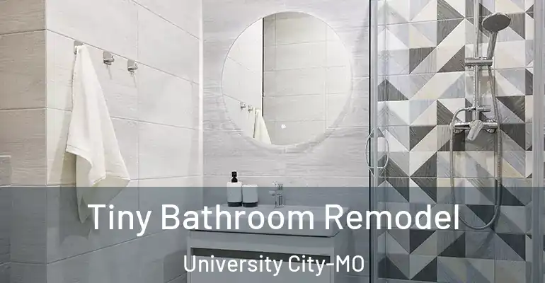 inner Bathroom imggen Tiny Bathroom Remodel University City-MO