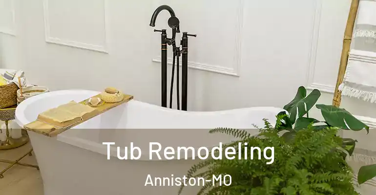 inner Bathroom imggen Tub Remodeling Anniston-MO