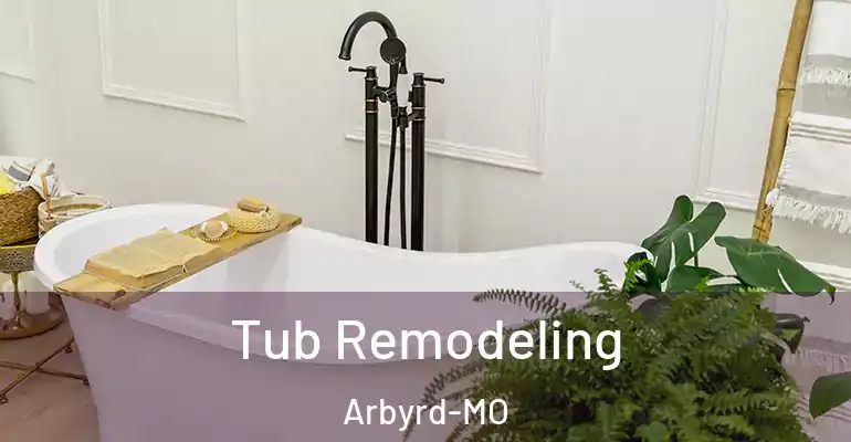 inner Bathroom imggen Tub Remodeling Arbyrd-MO
