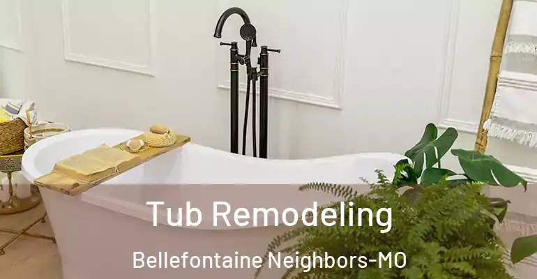 inner Bathroom imggen Tub Remodeling Bellefontaine Neighbors-MO