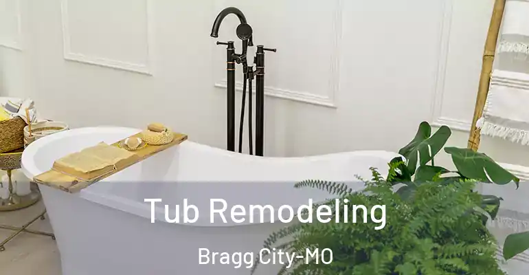 inner Bathroom imggen Tub Remodeling Bragg City-MO