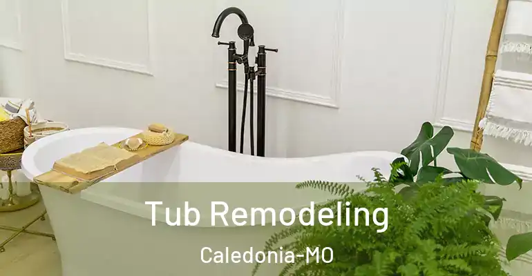 inner Bathroom imggen Tub Remodeling Caledonia-MO