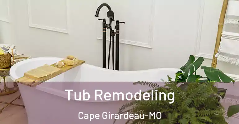 inner Bathroom imggen Tub Remodeling Cape Girardeau-MO