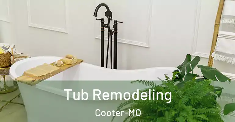 inner Bathroom imggen Tub Remodeling Cooter-MO