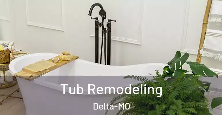 inner Bathroom imggen Tub Remodeling Delta-MO