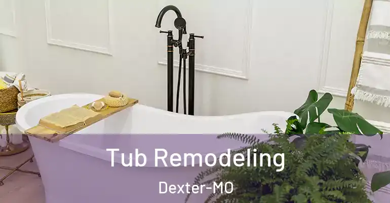 inner Bathroom imggen Tub Remodeling Dexter-MO