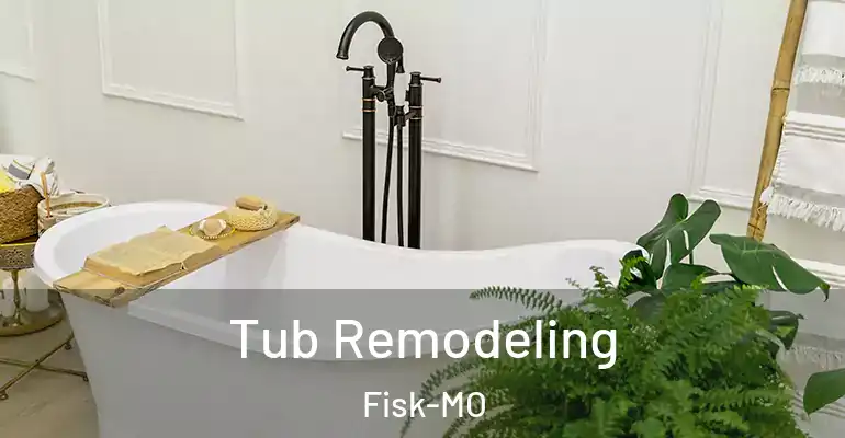 inner Bathroom imggen Tub Remodeling Fisk-MO