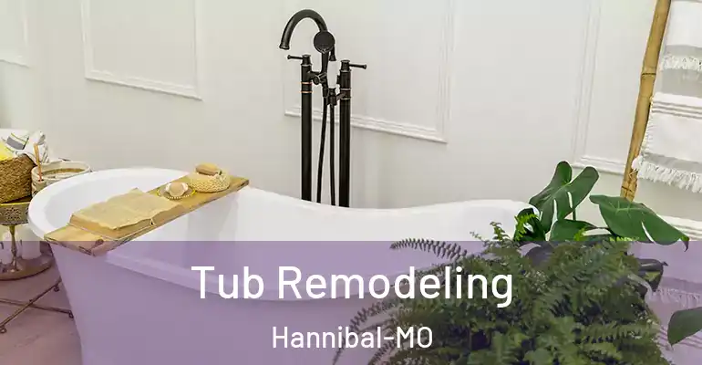 inner Bathroom imggen Tub Remodeling Hannibal-MO