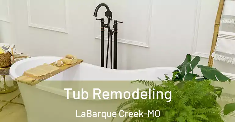 inner Bathroom imggen Tub Remodeling LaBarque Creek-MO