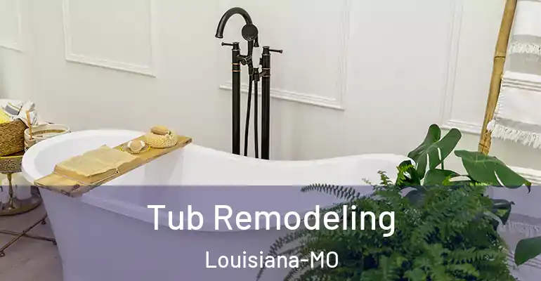 inner Bathroom imggen Tub Remodeling Louisiana-MO