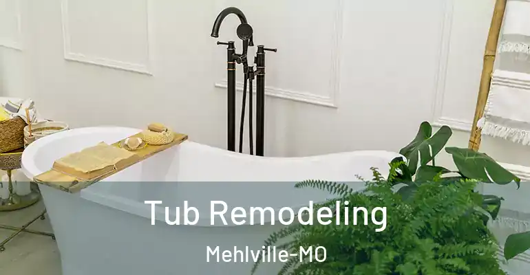 inner Bathroom imggen Tub Remodeling Mehlville-MO