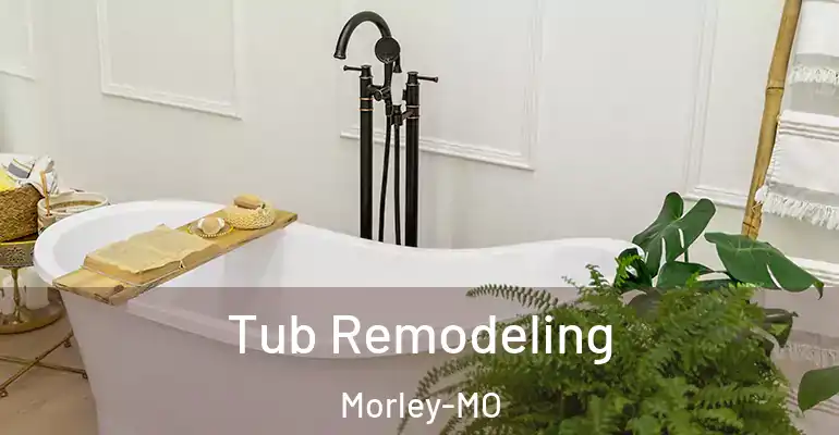 inner Bathroom imggen Tub Remodeling Morley-MO