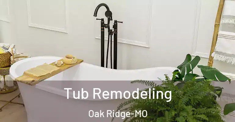 inner Bathroom imggen Tub Remodeling Oak Ridge-MO