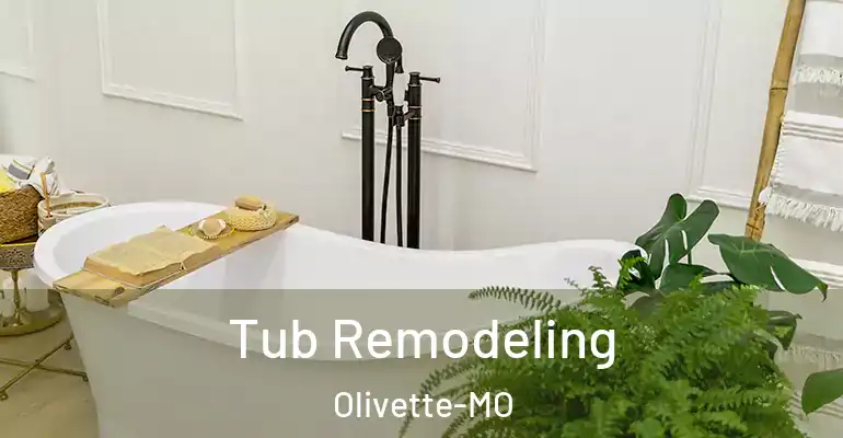 inner Bathroom imggen Tub Remodeling Olivette-MO