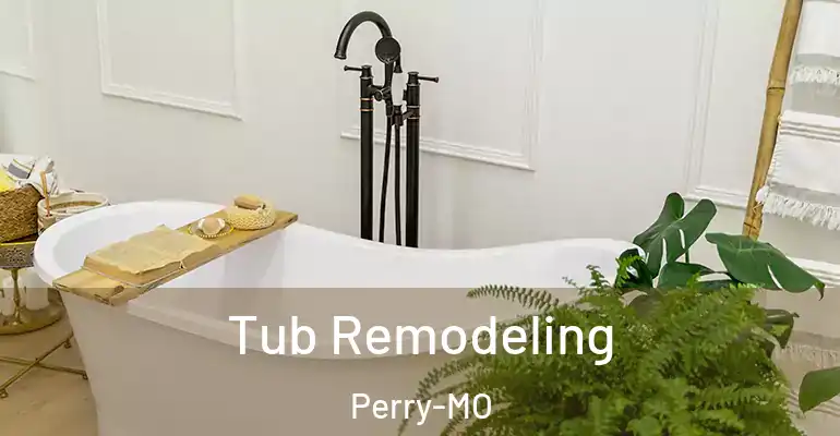 inner Bathroom imggen Tub Remodeling Perry-MO