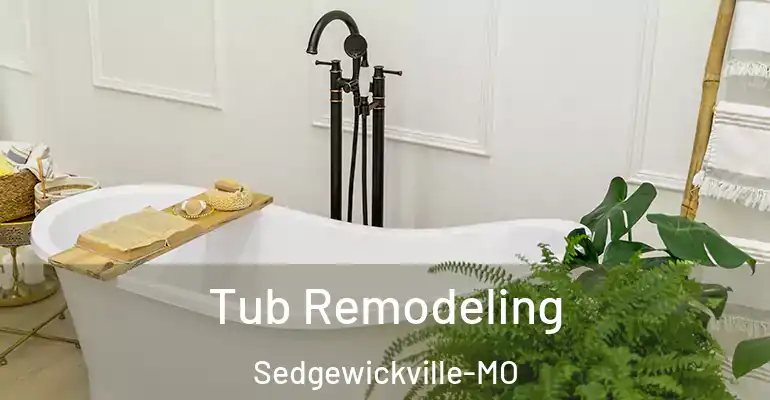 inner Bathroom imggen Tub Remodeling Sedgewickville-MO