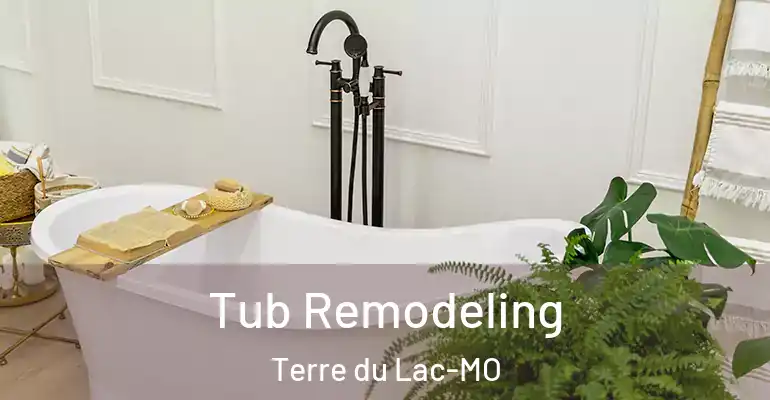 inner Bathroom imggen Tub Remodeling Terre du Lac-MO