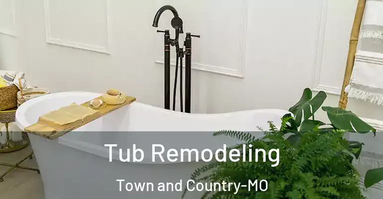 inner Bathroom imggen Tub Remodeling Town and Country-MO