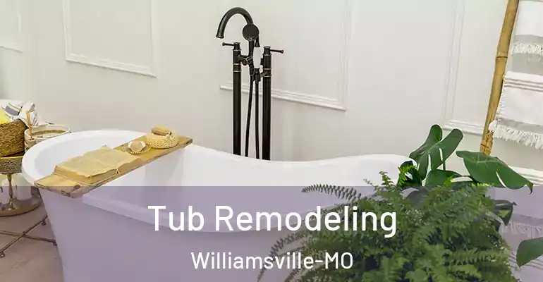 inner Bathroom imggen Tub Remodeling Williamsville-MO
