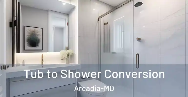 inner Bathroom imggen Tub to Shower Conversion Arcadia-MO