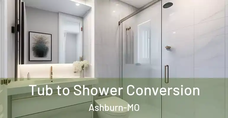 inner Bathroom imggen Tub to Shower Conversion Ashburn-MO
