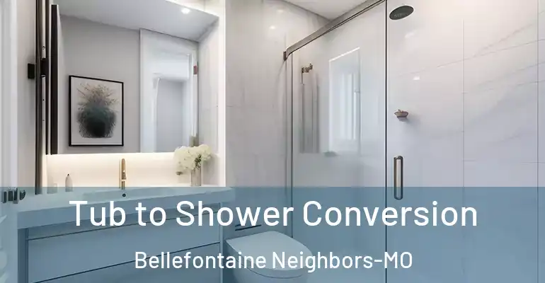 inner Bathroom imggen Tub to Shower Conversion Bellefontaine Neighbors-MO
