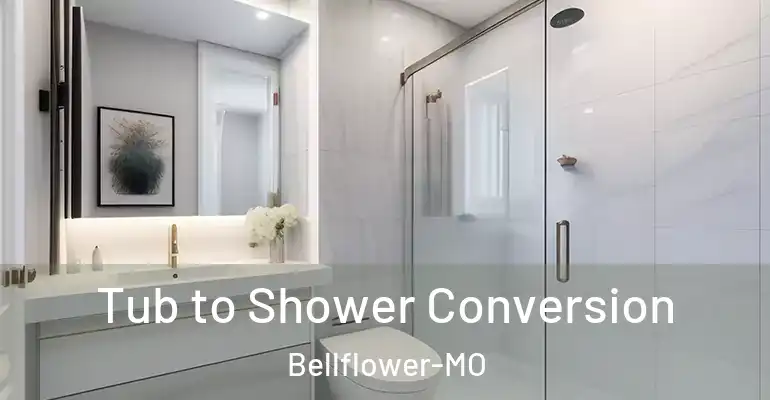 inner Bathroom imggen Tub to Shower Conversion Bellflower-MO