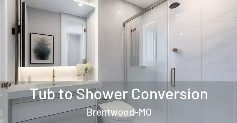 inner Bathroom imggen Tub to Shower Conversion Brentwood-MO