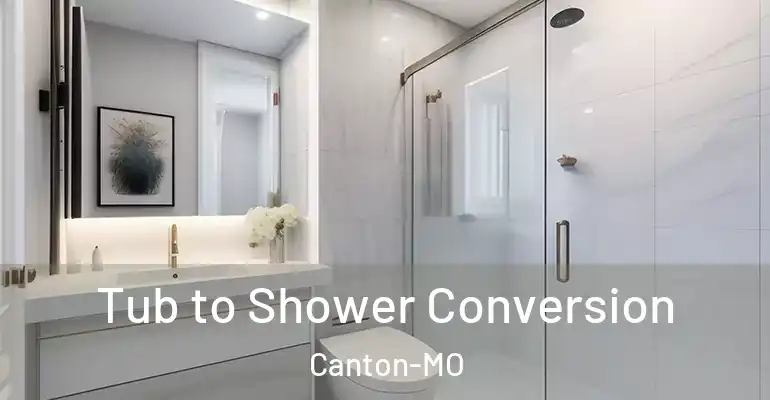 inner Bathroom imggen Tub to Shower Conversion Canton-MO