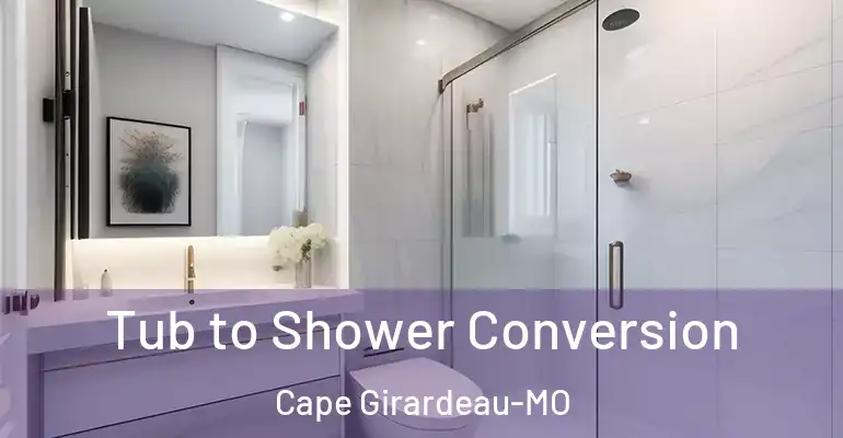 inner Bathroom imggen Tub to Shower Conversion Cape Girardeau-MO