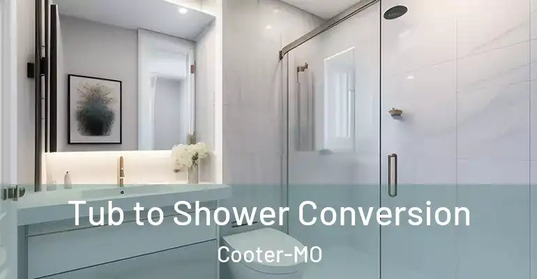 inner Bathroom imggen Tub to Shower Conversion Cooter-MO