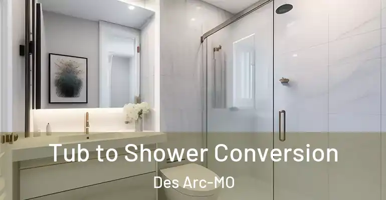inner Bathroom imggen Tub to Shower Conversion Des Arc-MO