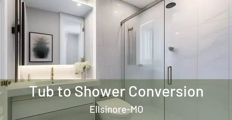 inner Bathroom imggen Tub to Shower Conversion Ellsinore-MO