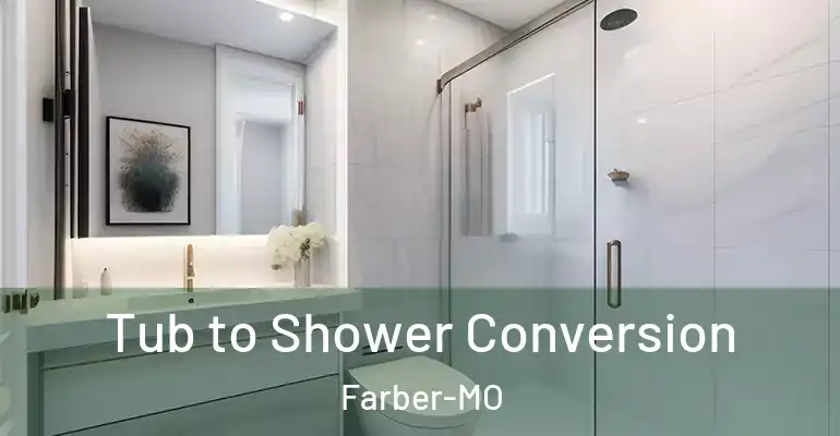 inner Bathroom imggen Tub to Shower Conversion Farber-MO