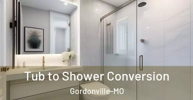 inner Bathroom imggen Tub to Shower Conversion Gordonville-MO