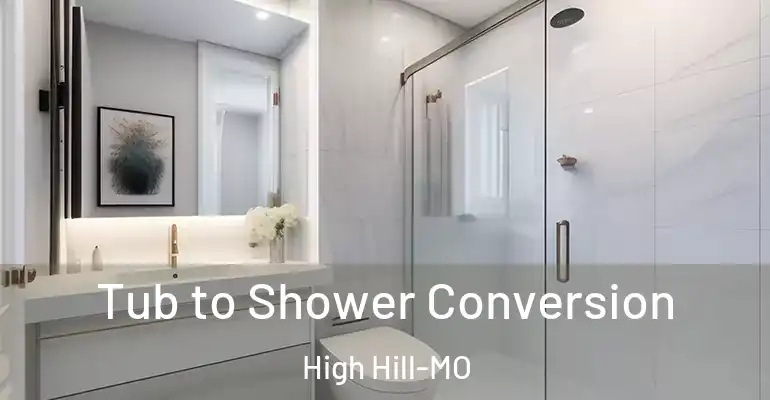 inner Bathroom imggen Tub to Shower Conversion High Hill-MO