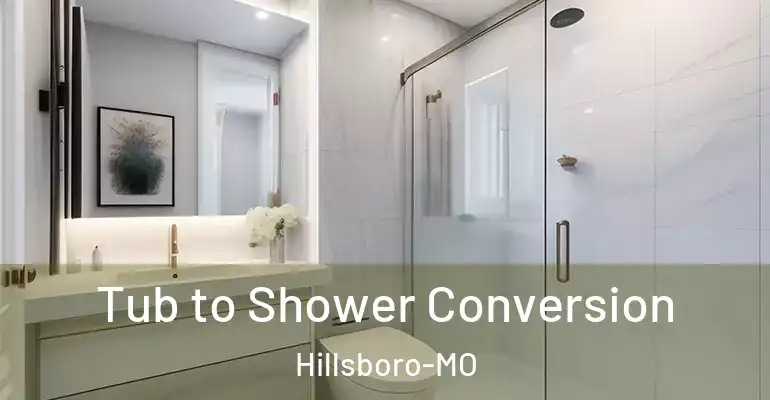 inner Bathroom imggen Tub to Shower Conversion Hillsboro-MO