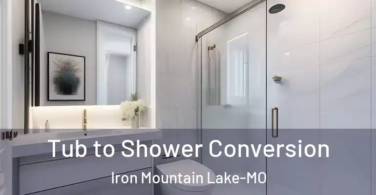inner Bathroom imggen Tub to Shower Conversion Iron Mountain Lake-MO