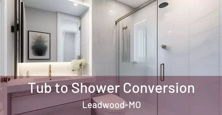 inner Bathroom imggen Tub to Shower Conversion Leadwood-MO