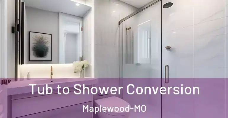 inner Bathroom imggen Tub to Shower Conversion Maplewood-MO