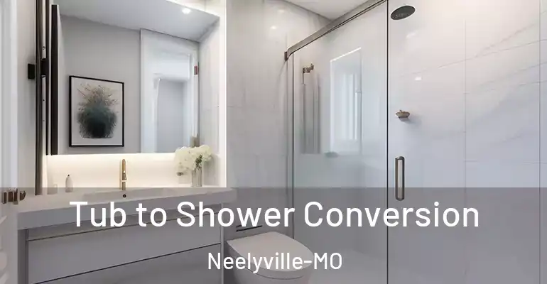 inner Bathroom imggen Tub to Shower Conversion Neelyville-MO
