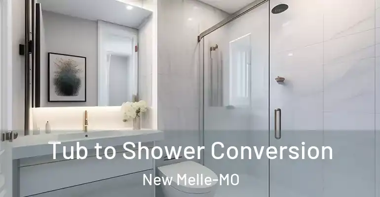 inner Bathroom imggen Tub to Shower Conversion New Melle-MO