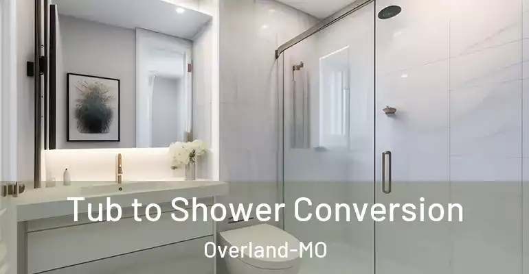 inner Bathroom imggen Tub to Shower Conversion Overland-MO