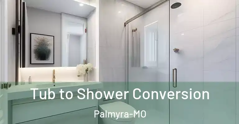 inner Bathroom imggen Tub to Shower Conversion Palmyra-MO