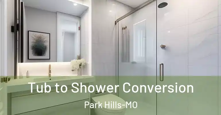 inner Bathroom imggen Tub to Shower Conversion Park Hills-MO