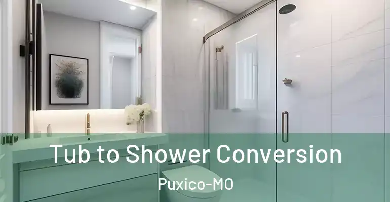 inner Bathroom imggen Tub to Shower Conversion Puxico-MO