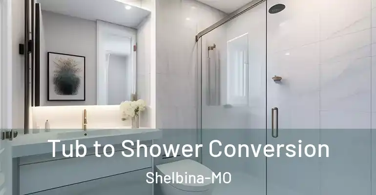 inner Bathroom imggen Tub to Shower Conversion Shelbina-MO