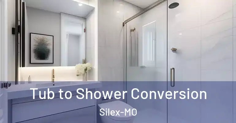 inner Bathroom imggen Tub to Shower Conversion Silex-MO