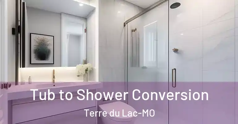 inner Bathroom imggen Tub to Shower Conversion Terre du Lac-MO
